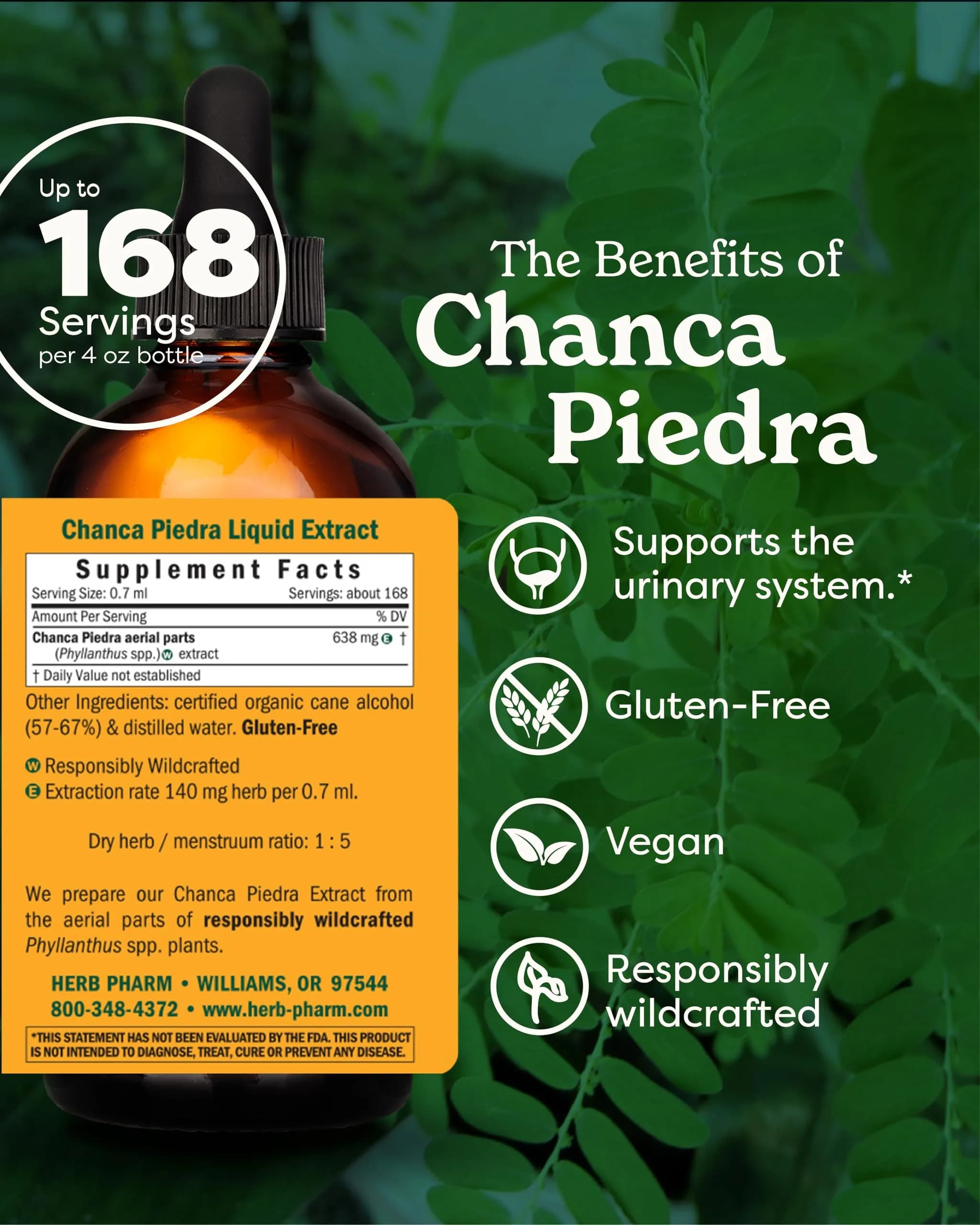 Herb Pharm Chanca Piedra Liquid Extract 118ml (4 Fl Oz) | Supports Urinary System Health - view 2
