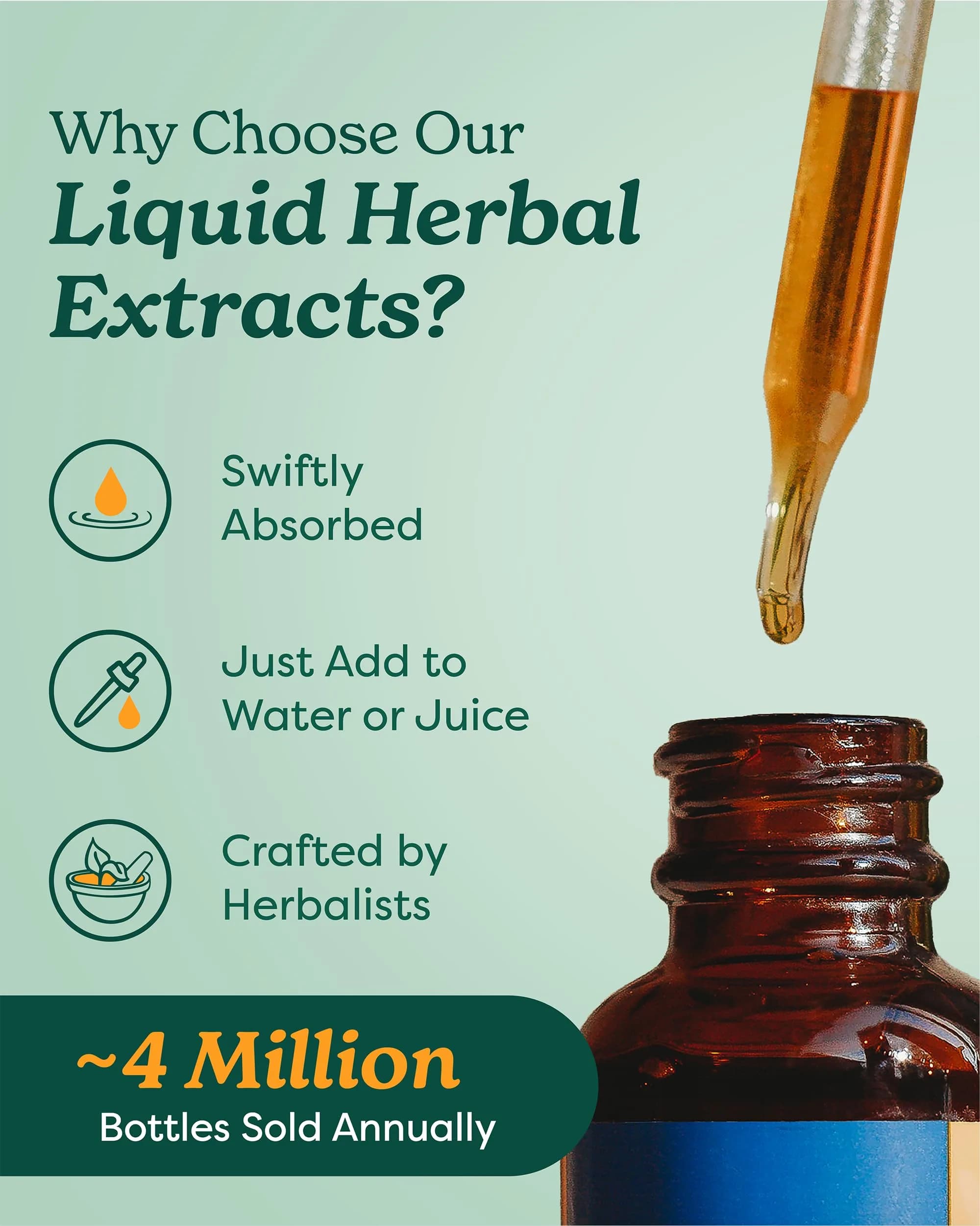 Herb Pharm Chanca Piedra Liquid Extract 118ml (4 Fl Oz) | Supports Urinary System Health - view 4