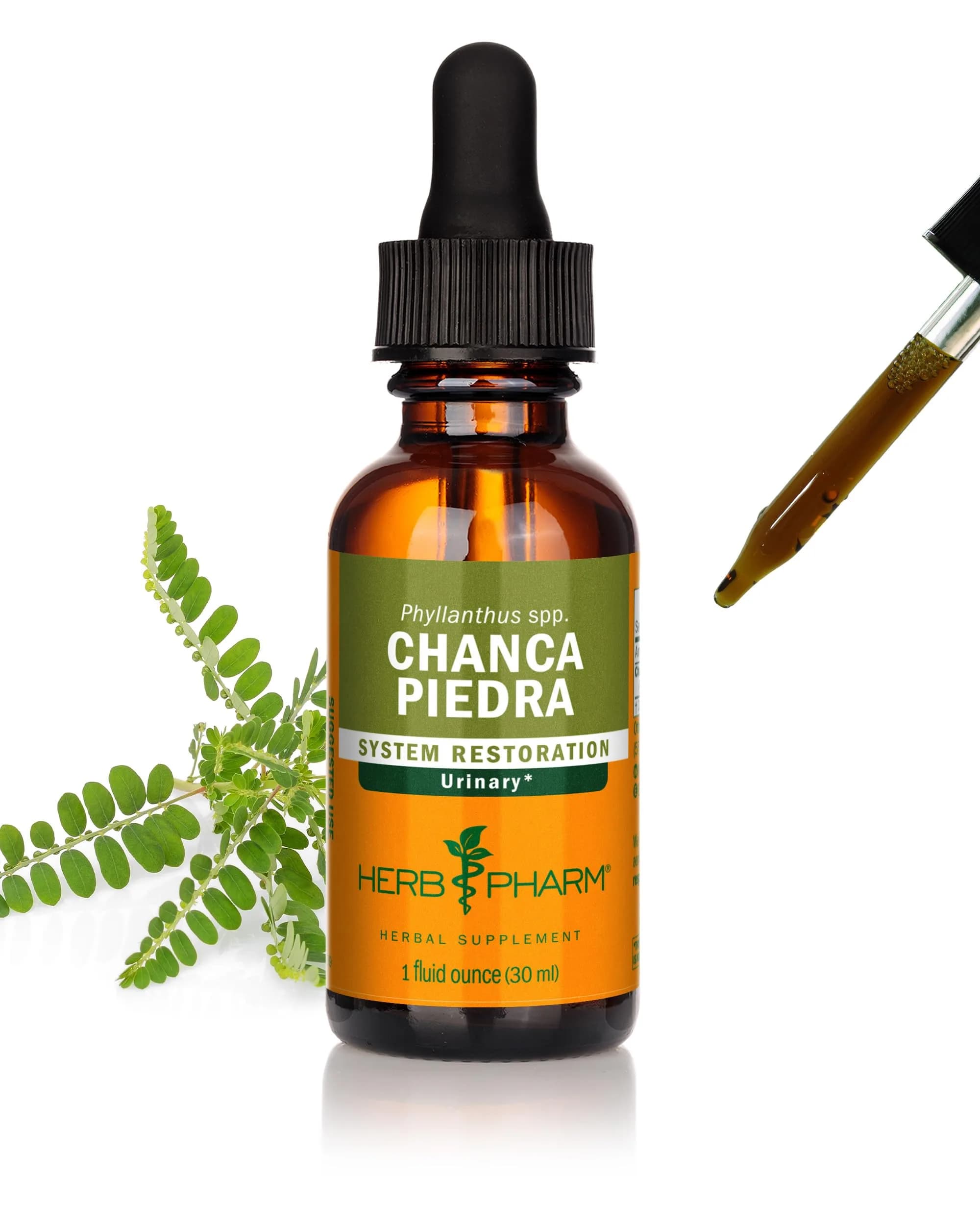 Herb Pharm Chanca Piedra Liquid Extract 1 Fl Oz (29.57 ml) | Supports Urinary System Health