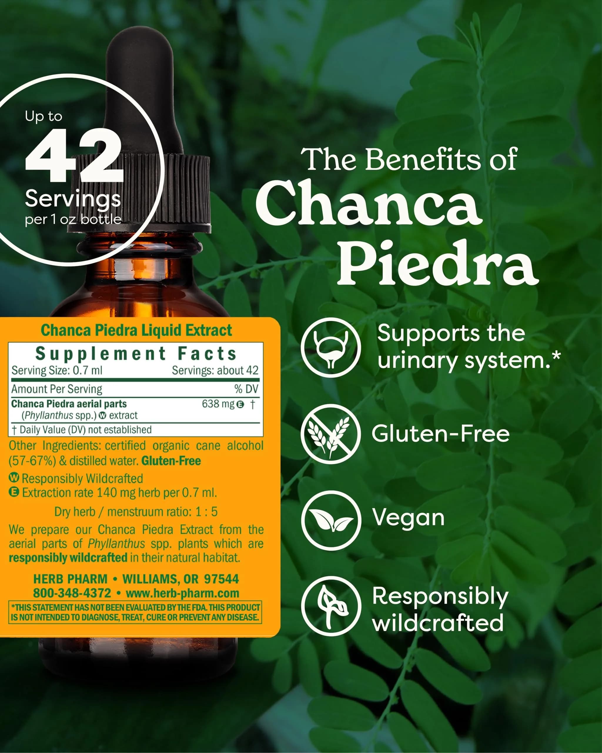 Herb Pharm Chanca Piedra Liquid Extract 1 Fl Oz (29.57 ml) | Supports Urinary System Health - view 2