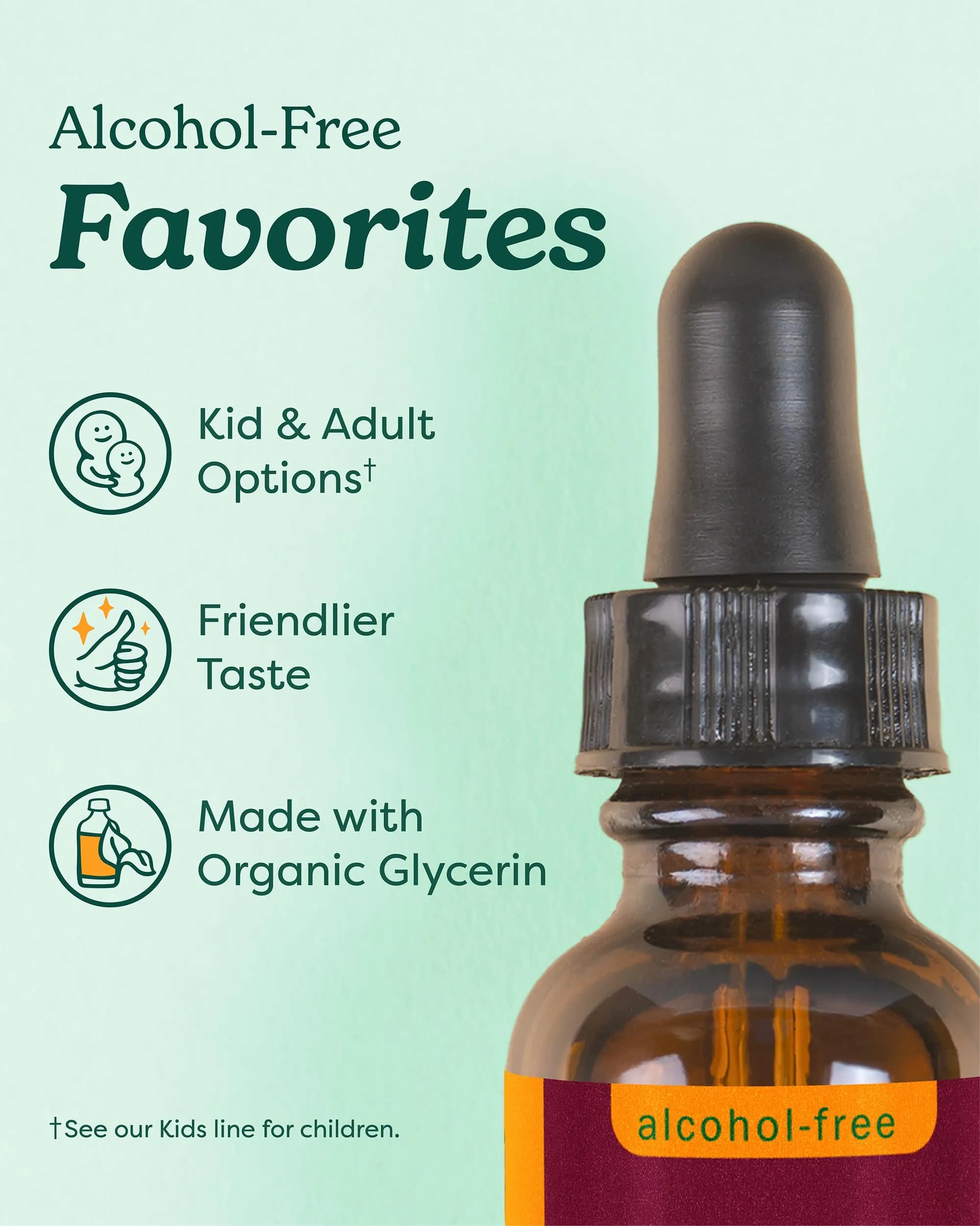 Herb Pharm Lemon Balm Alcohol-Free Glycerite 1 oz (30ml) | Organic Nervous System Support - view 6