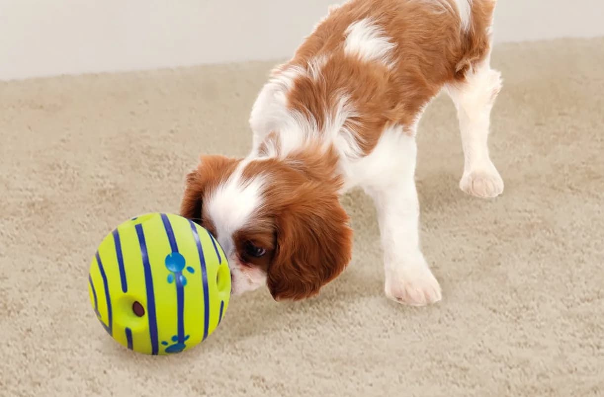 Wobble Wag Giggle Ball Dog Toy 5.5" | Interactive Noise-Making Playmate thumbnail 2