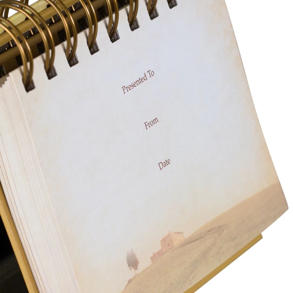 DaySpring God's Promises Day by Day Perpetual Calendar | 13.6cm x 13.9cm (5.3"W x 5.5"H) - view 4