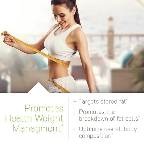 Irwin Naturals Forskolin Fat-Loss Diet Supplement 60 Softgels | Supports Metabolism & Body Composition thumbnail 3