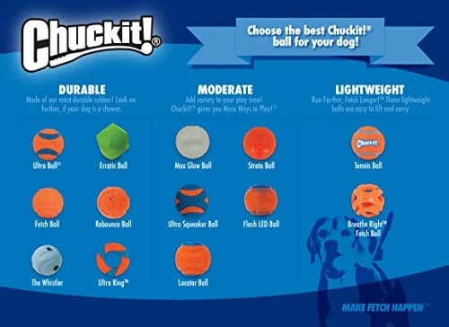 Chuckit! Max Glow Bouncy Ball Medium 2.5in (6.4cm) | Glows for 30 Min After 5 Min Charge thumbnail 4