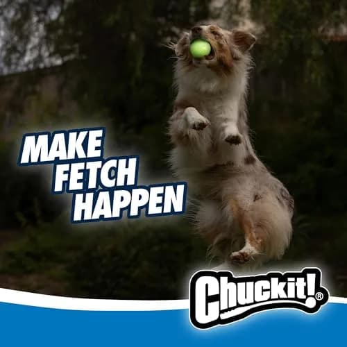 Chuckit! Max Glow Ball for Dogs, Large 7.6 cm (3 in) | Glows for 30 Min After 5 Min Charge thumbnail 3