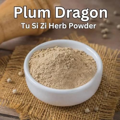 Plum Dragon Tu Si Zi Powder 16 Ounce | Traditional Chinese Herb for Wellness thumbnail 2