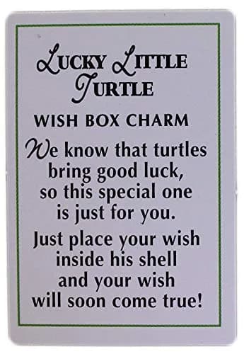 Ganz Lucky Little Turtle Wish Box Charm With Story Card! | Animal Theme Charm thumbnail 2