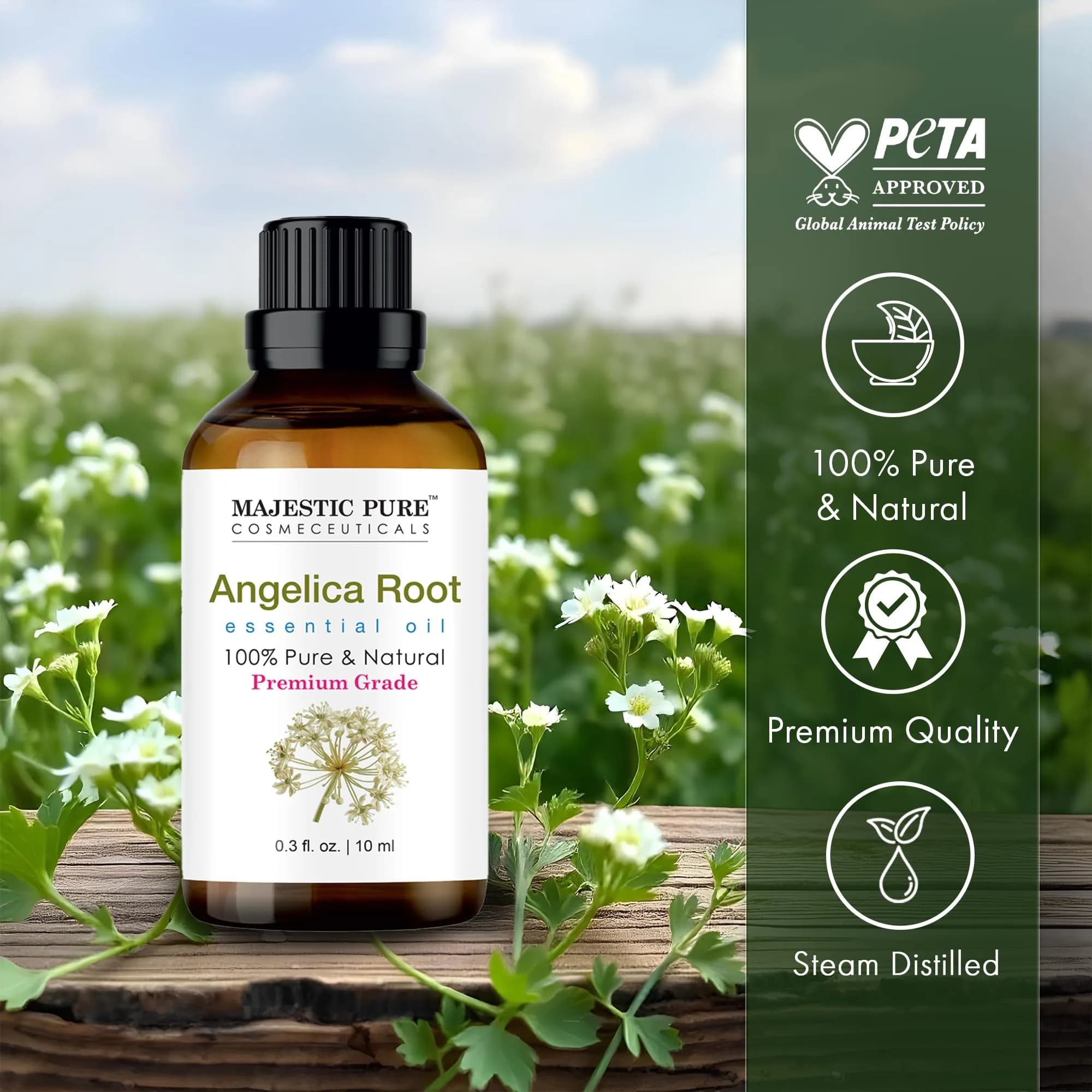 Majestic Pure Turmeric Essential Oil with Glass Dropper, 120ml (4 Fl Oz) | Pure & Natural for Skin & Aromatherapy - view 2