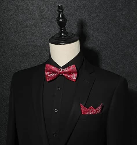 HISDERN Red Paisley Bow Tie & Pocket Square Set | Formal Men’s Accessories (39" Self-Tie, 12" Square) thumbnail 5