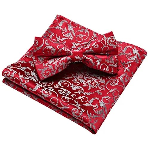 HISDERN Red Paisley Bow Tie & Pocket Square Set | Formal Men’s Accessories (39" Self-Tie, 12" Square) thumbnail 3