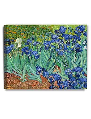 DECORARTS Van Gogh Canvas Wall Art, Irises in the Garden, 20x16'' | Vibrant Blue & Green Artwork thumbnail 1