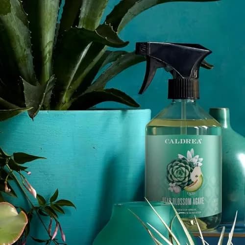 Caldrea Multi-Surface Countertop Spray Cleaner Pear Blossom Agave 473ml (16 Fl Oz) | Cleans All Finished Surfaces thumbnail 3