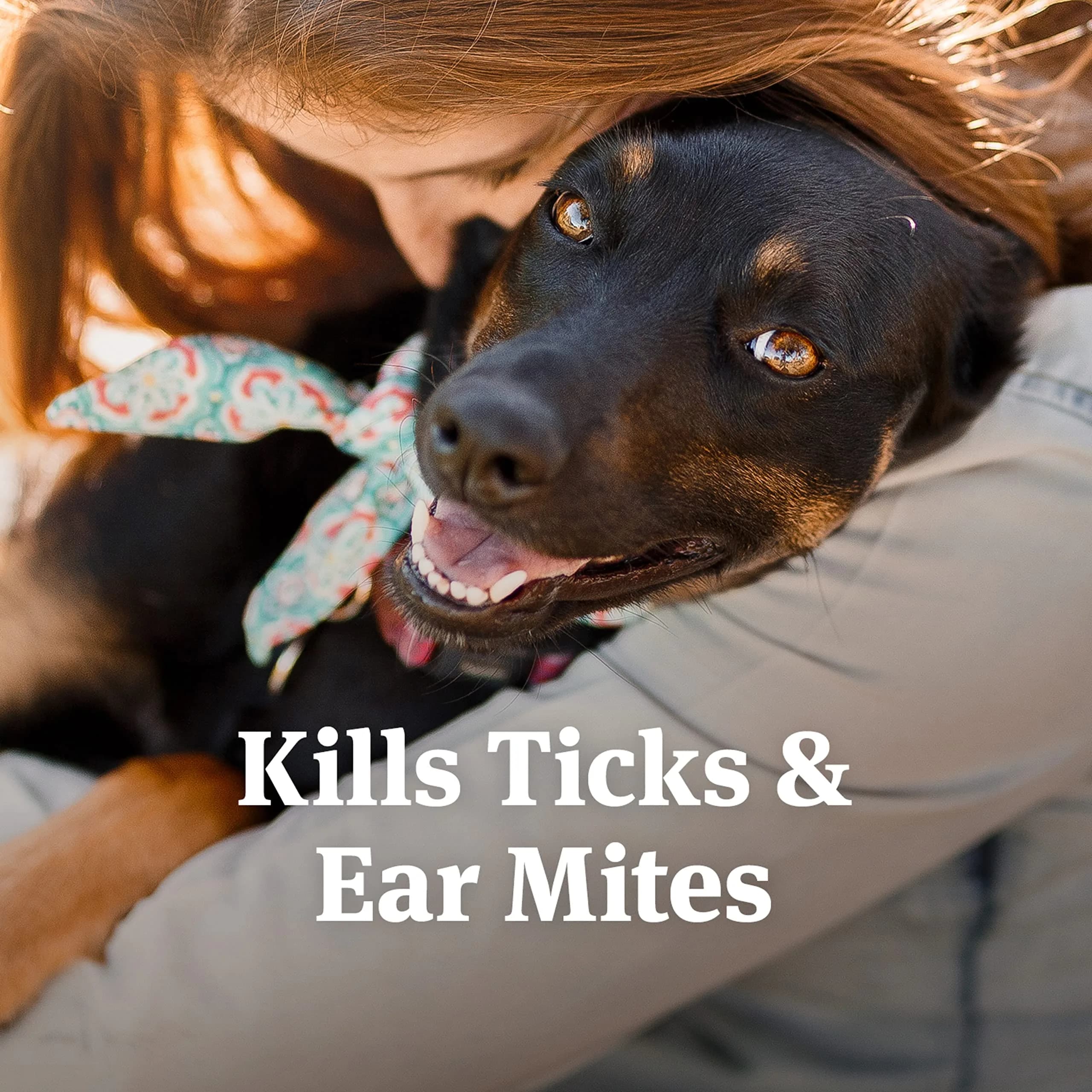 PetArmor Ear Mite & Tick Treatment for Dogs, 88.7 ml (3 fl oz) | Kills Mites & Ticks, Relieves Itching with Aloe - view 2