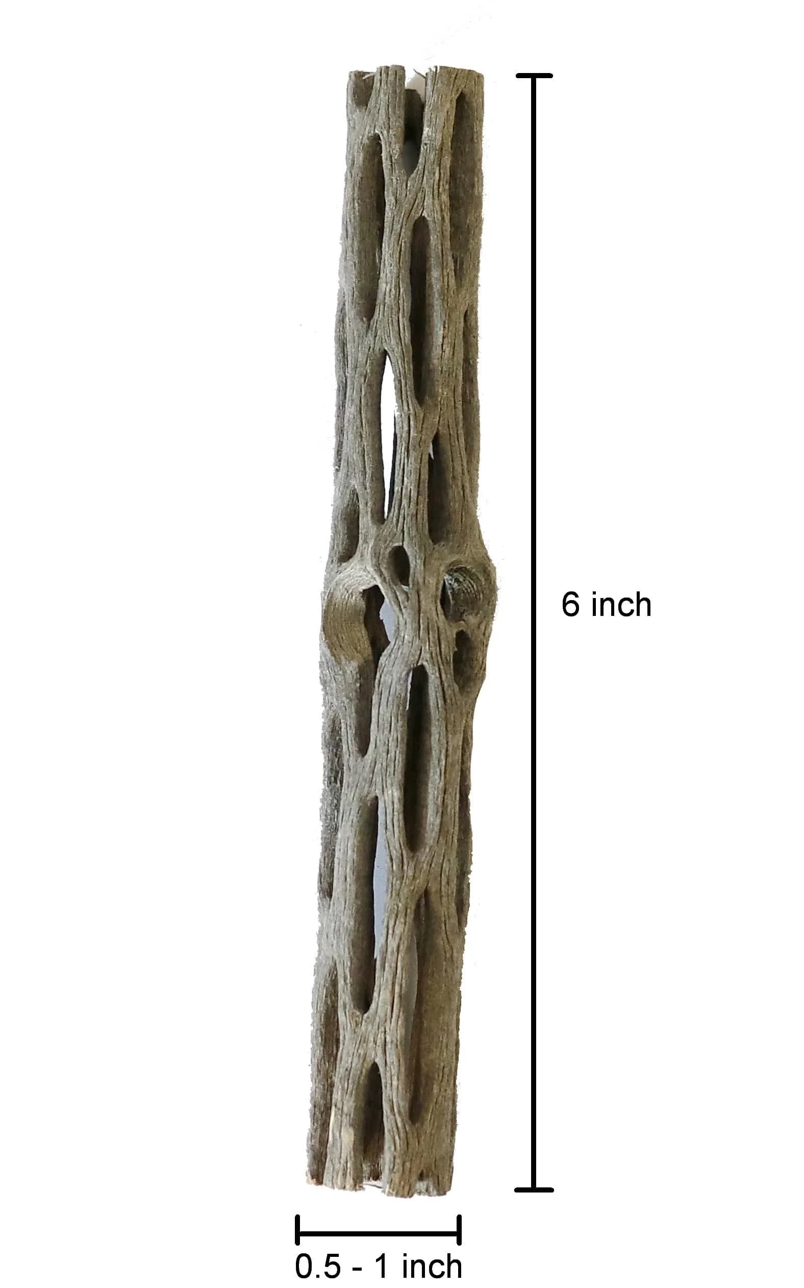 SoShrimp Natural Cholla Wood for Aquarium Decoration 3 Pieces (6 Inch Each) | Safe for Shrimp, Fish, and Reptiles - view 5