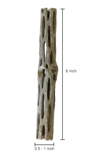 SoShrimp Natural Cholla Wood for Aquarium Decoration 3 Pieces (6 Inch Each) | Safe for Shrimp, Fish, and Reptiles thumbnail 5