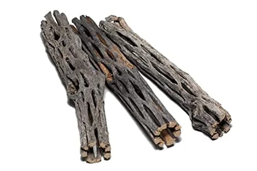 SoShrimp Natural Cholla Wood for Aquarium Decoration 3 Pieces (6 Inch Each) | Safe for Shrimp, Fish, and Reptiles thumbnail 1
