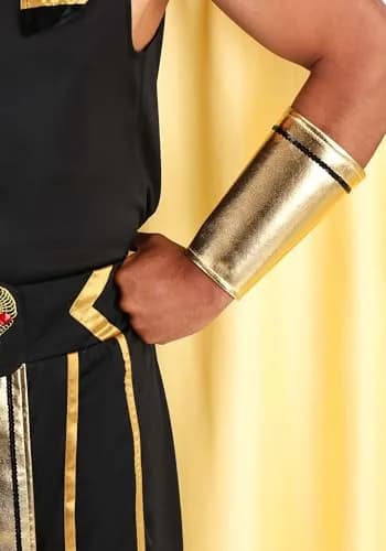 Dreamgirl King of Egypt King Tut Costume Large | Egyptian Costume for Men, Halloween thumbnail 6