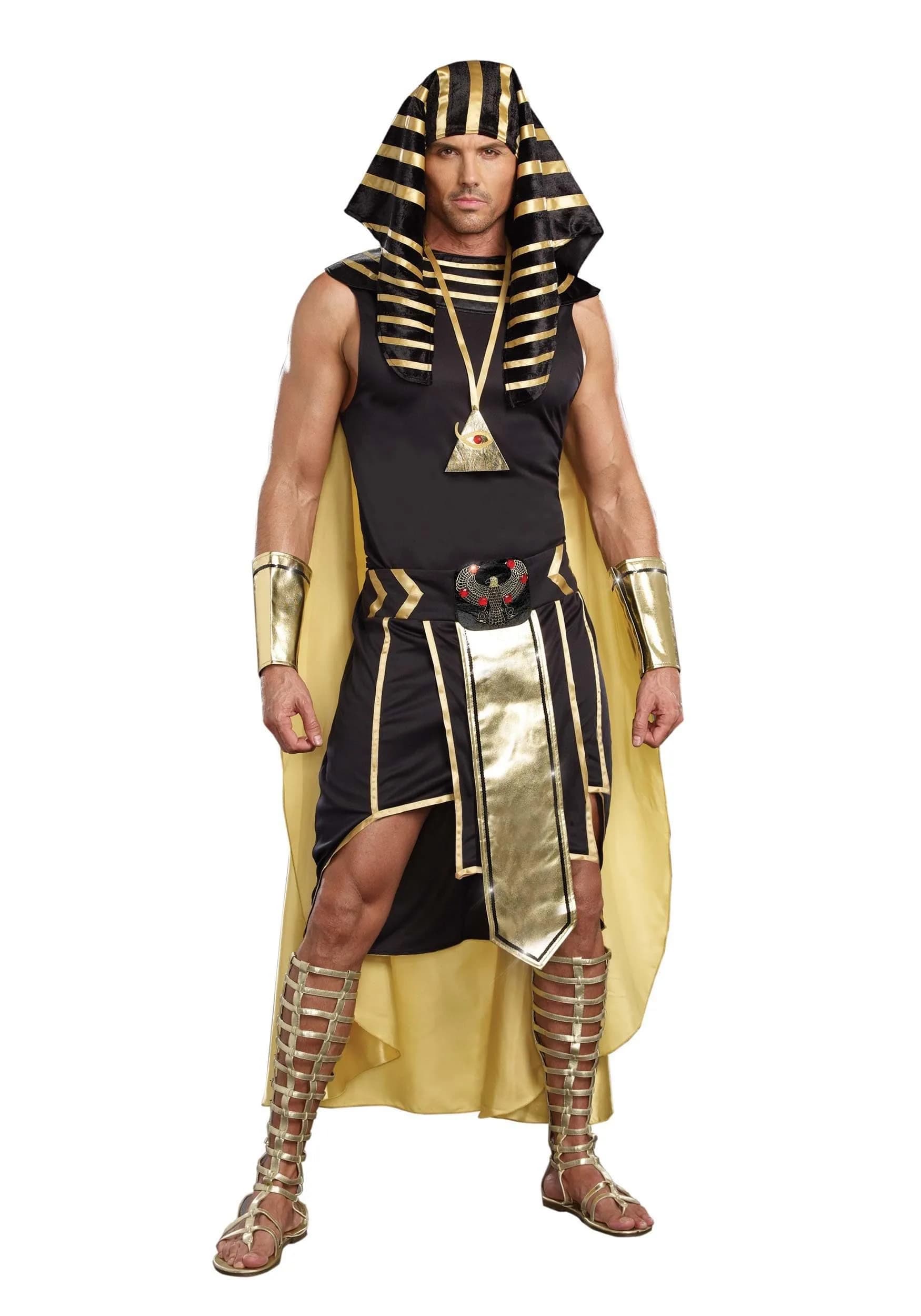 Dreamgirl King of Egypt King Tut Costume Large | Egyptian Costume for Men, Halloween