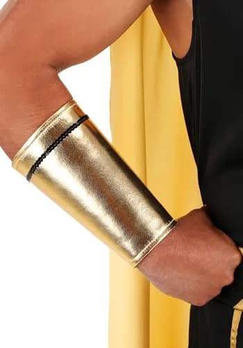 Dreamgirl King of Egypt King Tut Costume Large | Egyptian Costume for Men, Halloween thumbnail 8