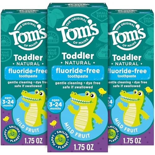 Tom's of Maine Toddler Fluoride-Free Toothpaste Mild Fruit 3 Pack 52.5ml (1.75oz Per Tube) | Gentle Cleaning for Ages 3-24 Months thumbnail 1