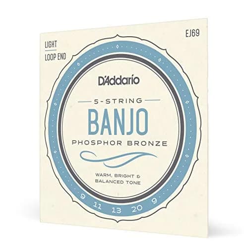 D'Addario EJ69 Phosphor Bronze Banjo Strings 9-20 | Warm, Bright Tone thumbnail 1