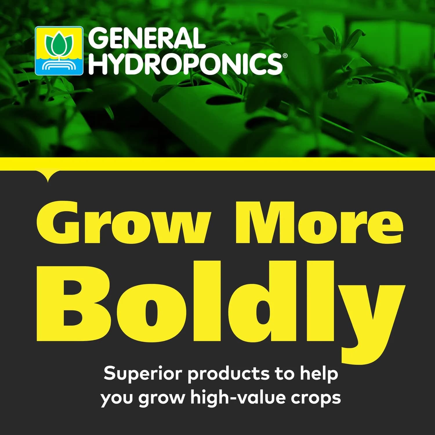 General Hydroponics CALiMAGic Liquid Plant Nutrient 3.78 L (1 Gallon) | Prevents Deficiencies & Blossom End Rot - view 8