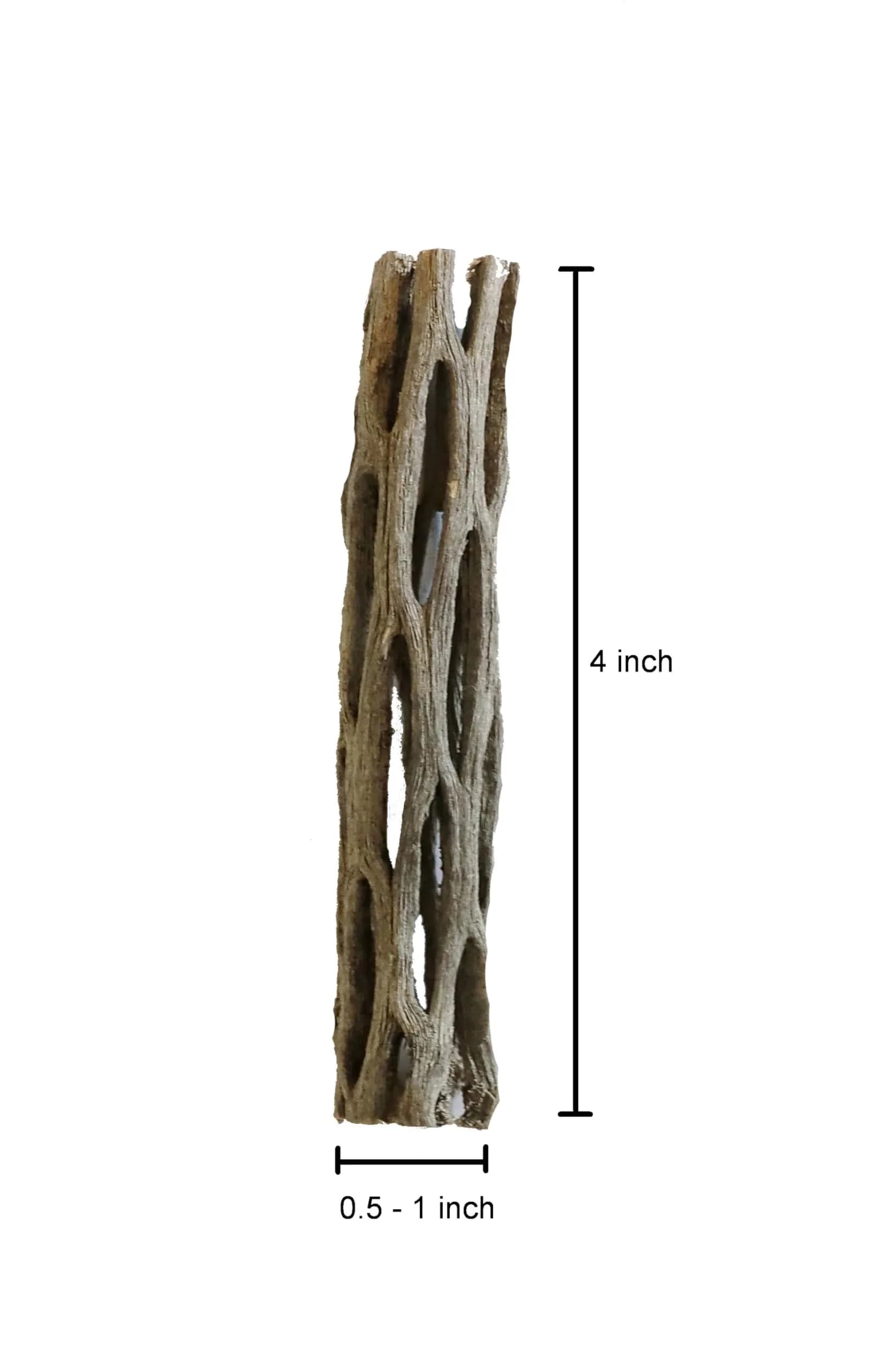 SoShrimp Natural Cholla Wood for Aquarium Decoration Shrimp and Fish Tank 10.16cm (4 Inch (3 Pack)) | Natural Aesthetic Appeal - view 5