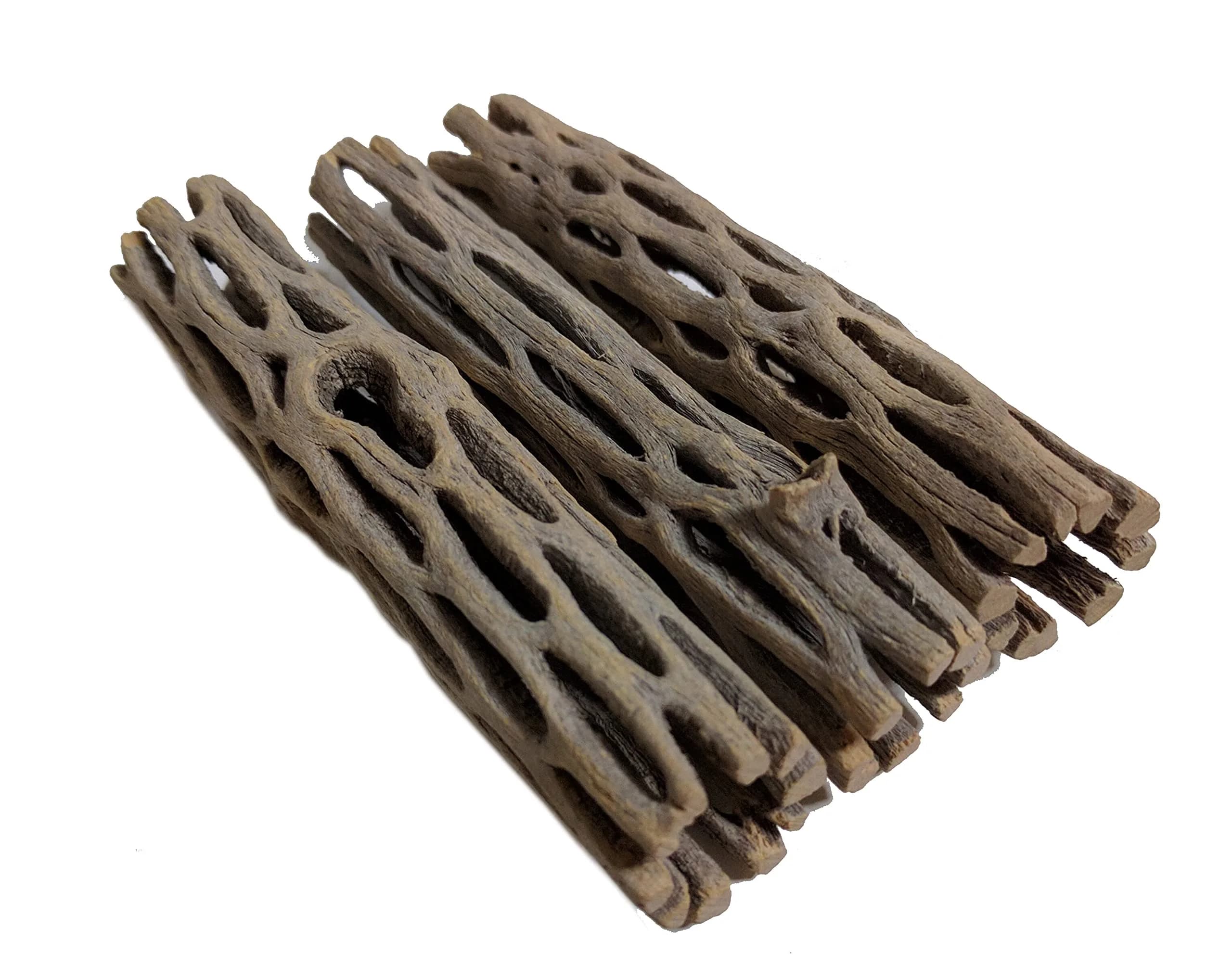 SoShrimp Natural Cholla Wood for Aquarium Decoration Shrimp and Fish Tank 10.16cm (4 Inch (3 Pack)) | Natural Aesthetic Appeal - main product image