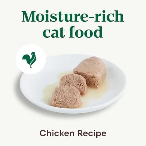 Nutro Perfect Portions Pate Wet Cat Food, Chicken Recipe, 2.6 oz | Grain-Free, Complete & Balanced for Adult Cats thumbnail 2