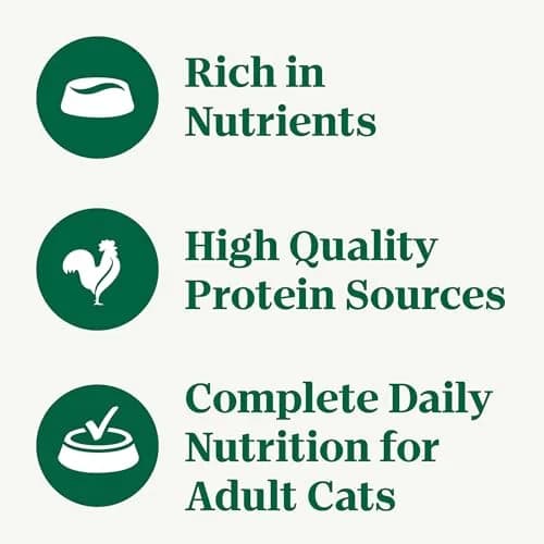 Nutro Perfect Portions Pate Wet Cat Food, Chicken Recipe, 2.6 oz | Grain-Free, Complete & Balanced for Adult Cats thumbnail 3