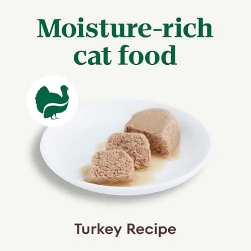 Nutro Perfect Portions Pate Wet Cat Food, Turkey Recipe, 2.6 oz, 24 ct | Grain-Free, Hydrating, Complete Nutrition thumbnail 2