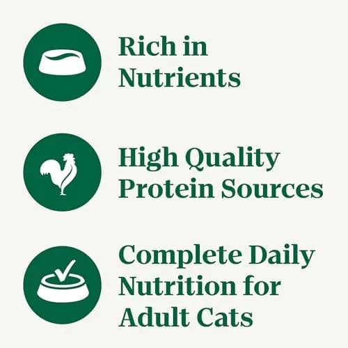 Nutro Perfect Portions Pate Wet Cat Food, Turkey Recipe, 2.6 oz, 24 ct | Grain-Free, Hydrating, Complete Nutrition thumbnail 3