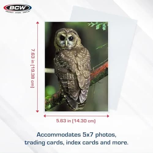 BCW 5x7 Photo Sleeves Acid-Free Polypropylene 100 Count | Archival-Quality Photo Protection thumbnail 3
