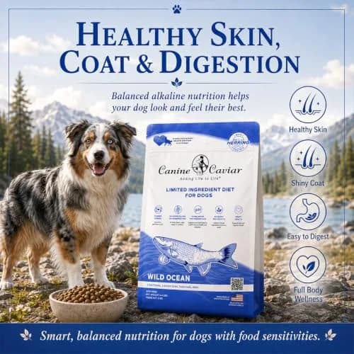Canine Caviar Wild Ocean Dry Dog Food Herring & Teff 22 lb | Alkaline, Limited Ingredient, Natural Nutrition thumbnail 4