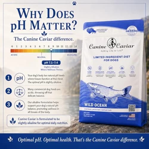 Canine Caviar Wild Ocean Dry Dog Food Herring & Teff 22 lb | Alkaline, Limited Ingredient, Natural Nutrition thumbnail 3