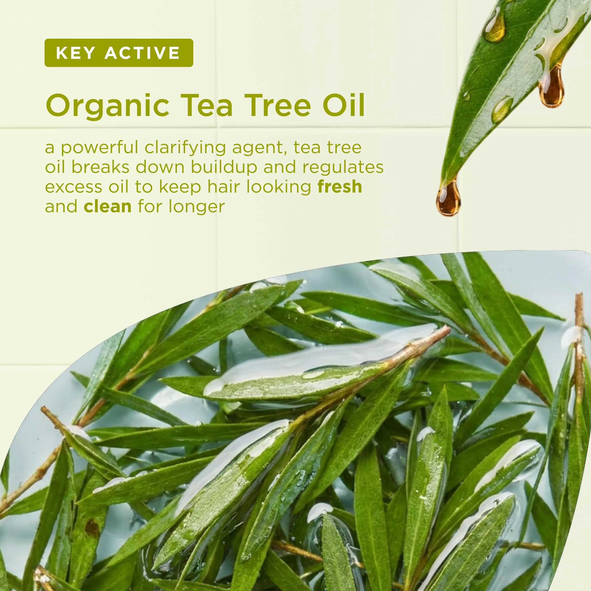 Dr. Organic Tea Tree Shampoo 265ml | Organic, Deep Cleansing for Oily Hair - view 4