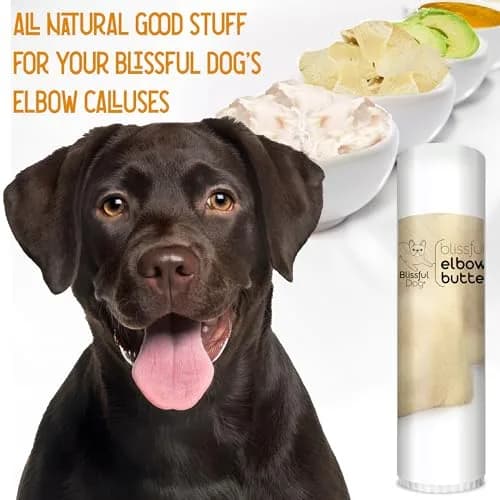 The Blissful Dog Elbow Butter Stick 14g (0.50 oz) | Lick-Safe Balm for Dry, Cracked Dog Calluses thumbnail 2