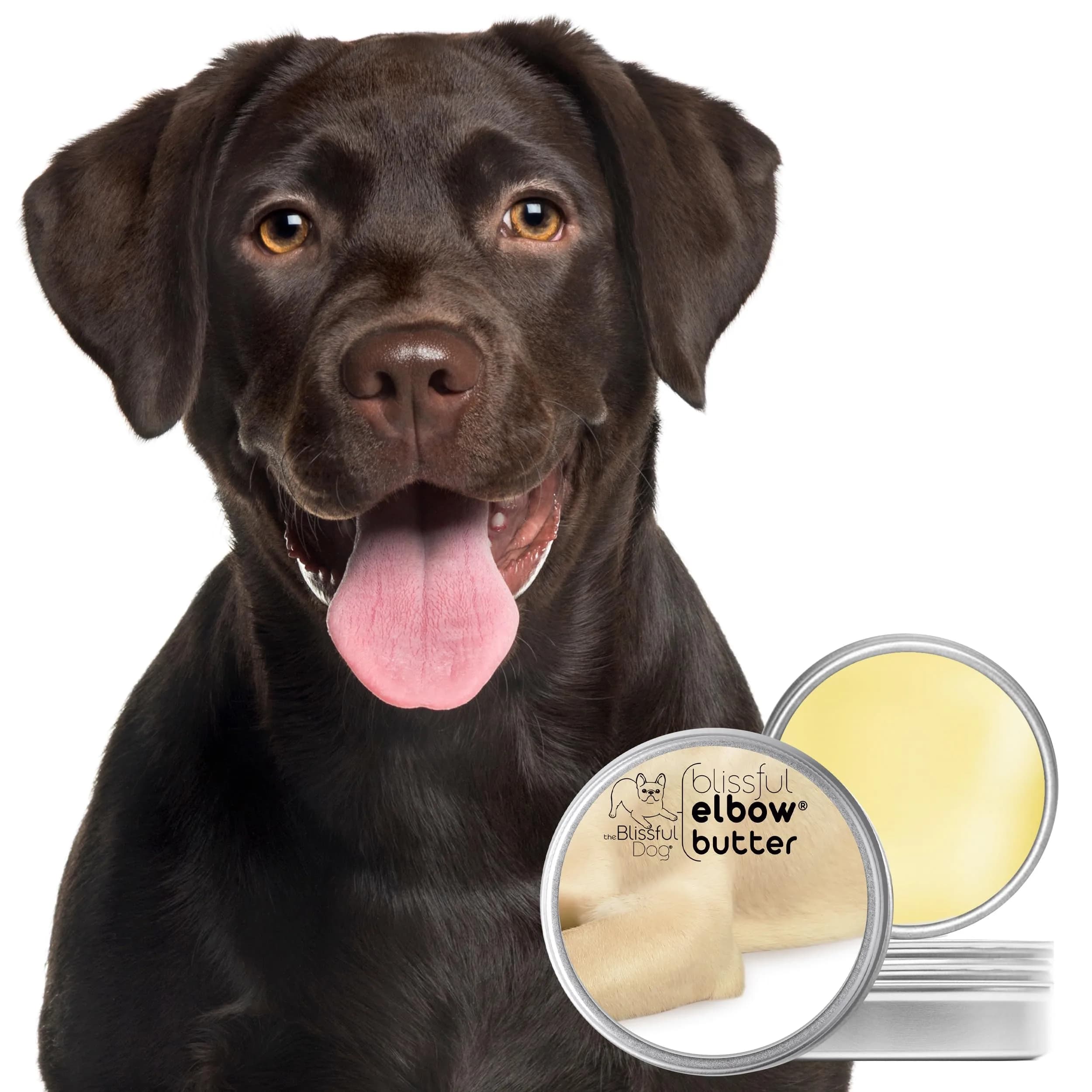 The Blissful Dog Elbow Butter Balm 113g (4 oz) | Lick-Safe Dog Balm for Dry, Cracked Calluses - view 2