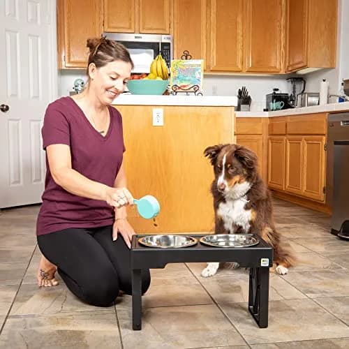Pet Zone Designer Diner Elevated Dog Bowl Stand, 3 Adjustable Height Levels | Supports digestion & joint health thumbnail 6