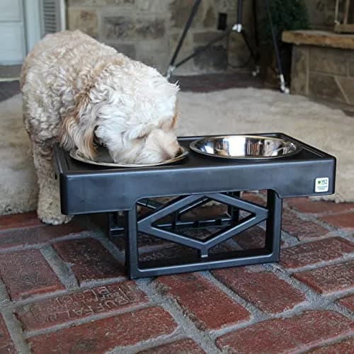 Pet Zone Designer Diner Elevated Dog Bowl Stand, 3 Adjustable Height Levels | Supports digestion & joint health thumbnail 8
