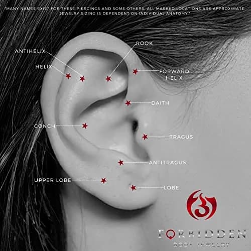 Forbidden Body Jewelry 16g 8mm Daith Earring, Eyebrow Ring & Rook Piercing | Internally Threaded Clear CZ Barbell thumbnail 3