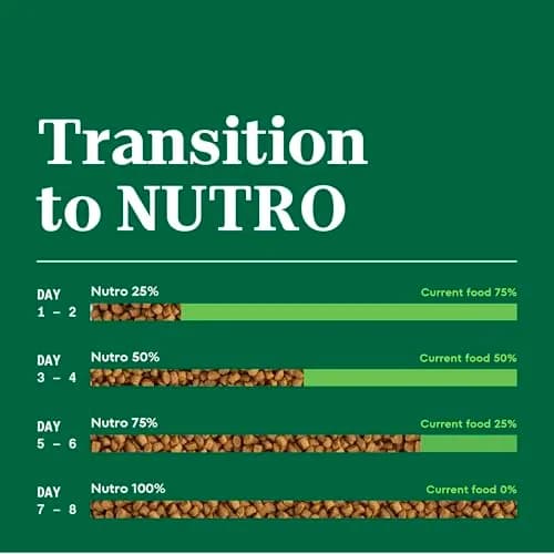 Nutro Wholesome Essentials Kitten Dry Cat Food, Chicken & Rice, 3 lb | Complete Nutrition for Growing Kittens thumbnail 8