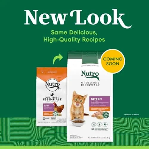 Nutro Wholesome Essentials Kitten Dry Cat Food, Chicken & Rice, 3 lb | Complete Nutrition for Growing Kittens thumbnail 2