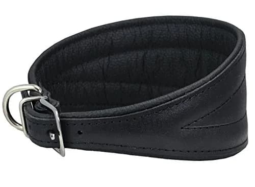 Dogs My Love Real Leather Extra Wide Padded Tapered Dog Collar 16.75"-20" Neck | Durable & Comfortable thumbnail 1
