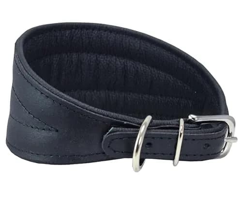 Dogs My Love Real Leather Extra Wide Padded Tapered Dog Collar 16.75"-20" Neck | Durable & Comfortable thumbnail 2