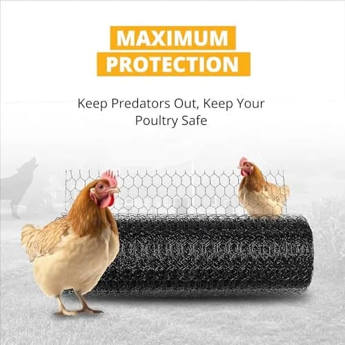 Stromberg's PVC-Coated Galvanized Wire Fencing, 3' x 100' Roll | Long-lasting, Weatherproof Poultry & Garden Barrier thumbnail 6
