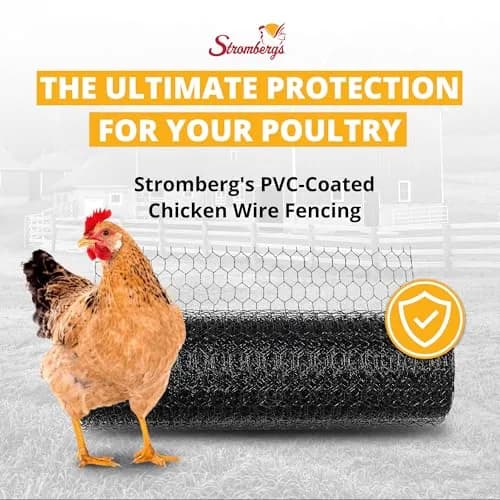 Stromberg's PVC-Coated Galvanized Wire Fencing, 3' x 100' Roll | Long-lasting, Weatherproof Poultry & Garden Barrier thumbnail 2