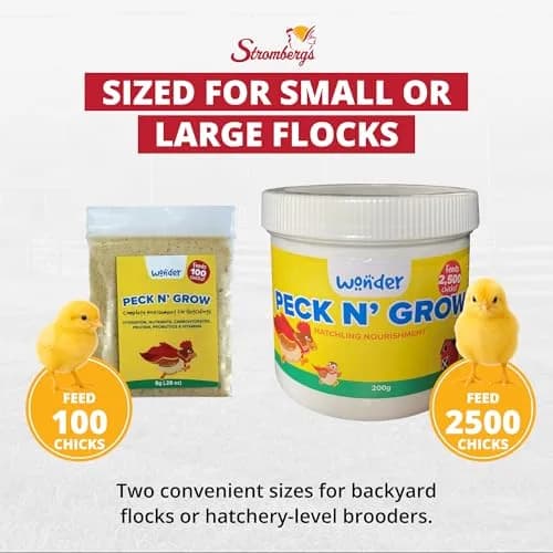 Stromberg's Peck n' Grow 0.28 oz Pack for 100 Chicks | Supports Early Chick Development thumbnail 5