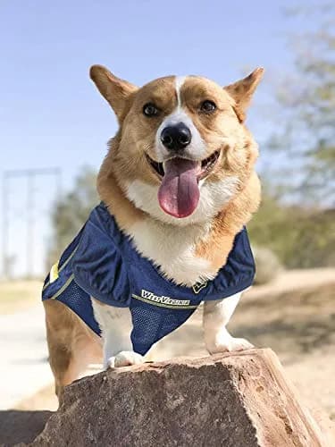 Pets First NCAA College West Virginia Mountaineers Mesh Jersey for DOGS & CATS Small | Licensed Dog Jersey with your Favorite Football Team thumbnail 4